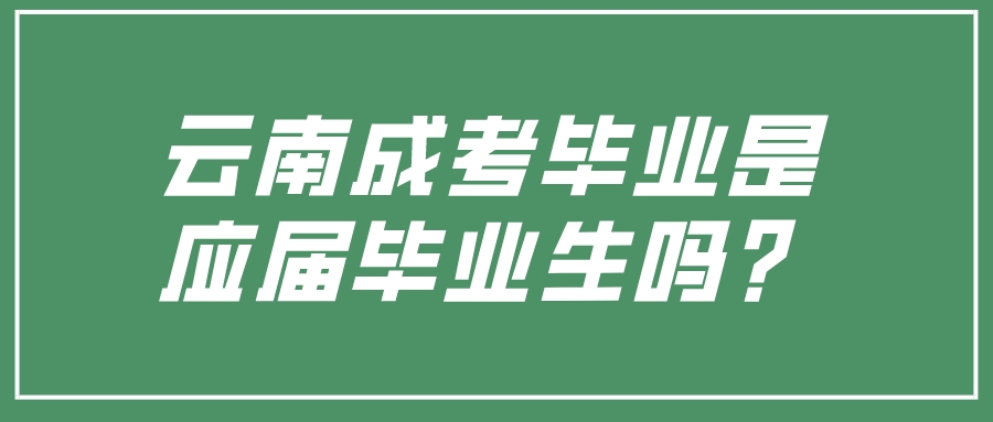 云南成考畢業(yè)是應(yīng)屆畢業(yè)生嗎？.jpeg